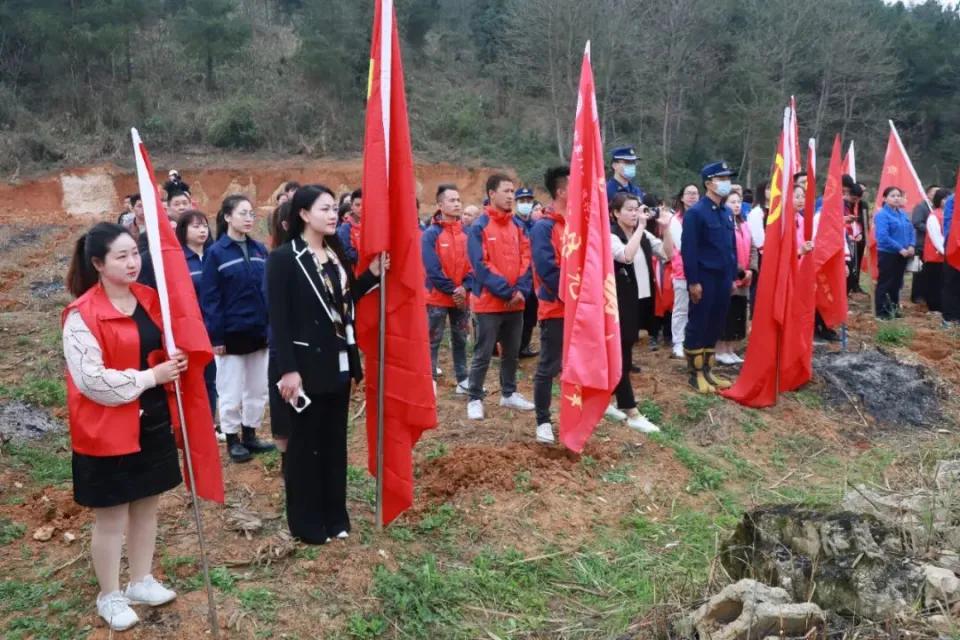 bjl平台·(中国)集团