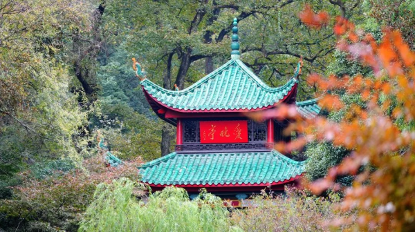 bjl平台·(中国)集团