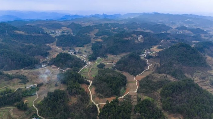 bjl平台·(中国)集团
