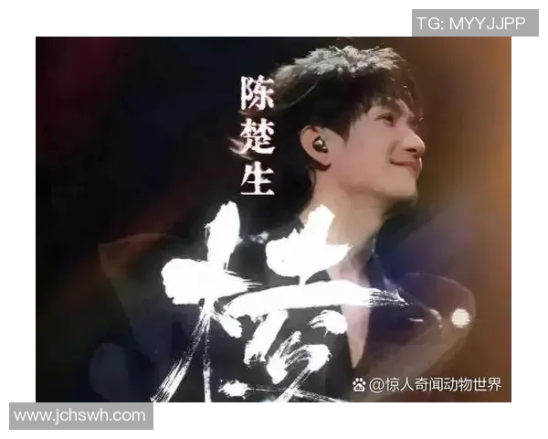 重庆排球队逆袭之路揭秘：从低谷到巅峰的奋斗故事